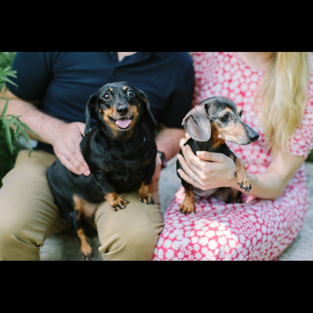 Meet Payton & Pepper—my Poshmark Shipping Team!